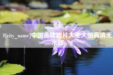 安康中国金牌图片大全大图高清无水印