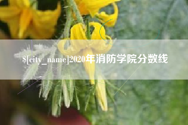 安康2020年消防学院分数线