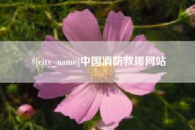 安康中国消防救援网站
