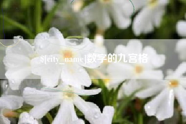 安康数字的九宫格