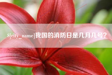 安康我国的消防日是几月几号？