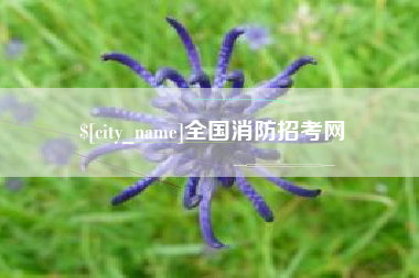 安康全国消防招考网