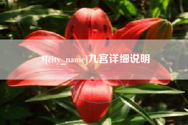 安康九宫详细说明