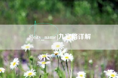 安康九宫格详解