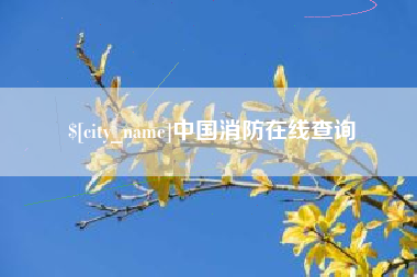 安康中国消防在线查询