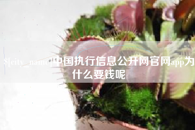 安康中国执行信息公开网官网app为什么要钱呢