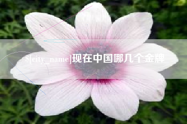 安康现在中国哪几个金牌
