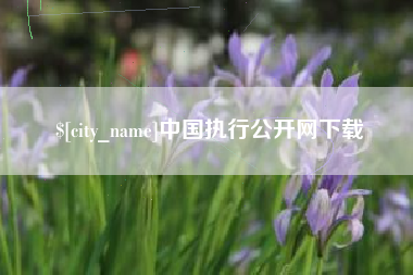 安康中国执行公开网下载
