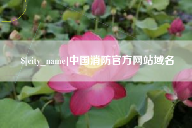 安康中国消防官方网站域名