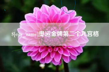 安康奥运金牌第二个九宫格