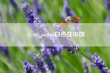 安康白色在中国