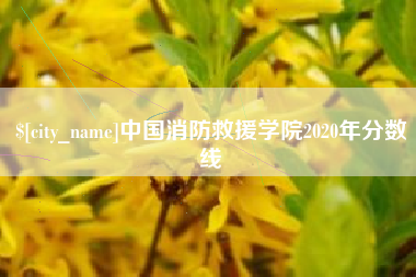 安康中国消防救援学院2020年分数线