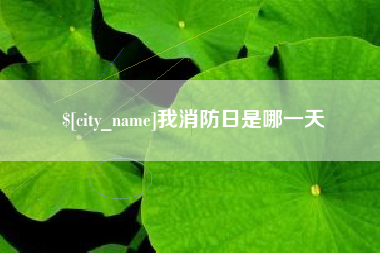 安康我消防日是哪一天
