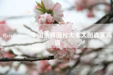 安康中国金牌图片大全大图真实高清