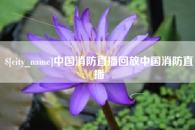 安康中国消防直播回放中国消防直播