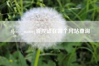 安康消控证在哪个网站查询