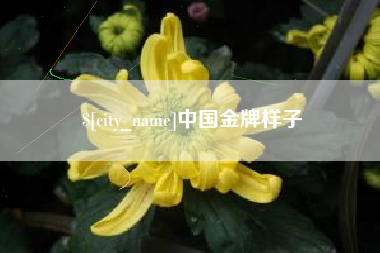 安康中国金牌样子