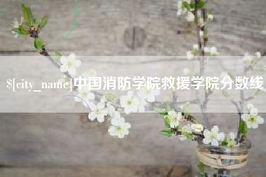 安康中国消防学院救援学院分数线