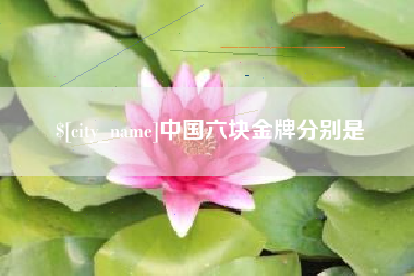 安康中国六块金牌分别是