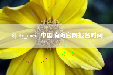 安康中国消防官网报名时间