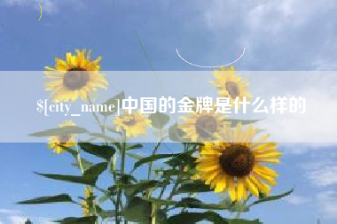 安康中国的金牌是什么样的
