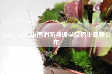 安康中国消防救援学院招生章程公布!