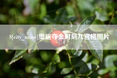 安康奥运夺金时刻九宫格图片