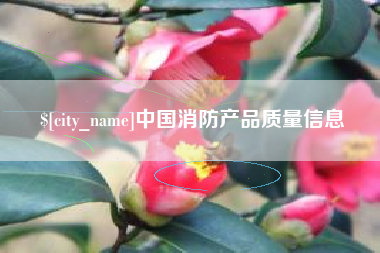 安康中国消防产品质量信息