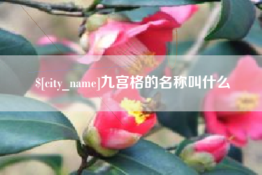 安康九宫格的名称叫什么
