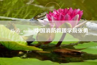安康中国消防救援学院张勇