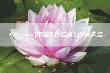 安康中国执行信息公开网失信
