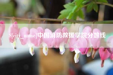 安康中国消防救援学院分数线