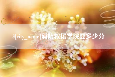 安康消防救援学院要多少分