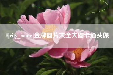安康金牌图片大全大图卡通头像