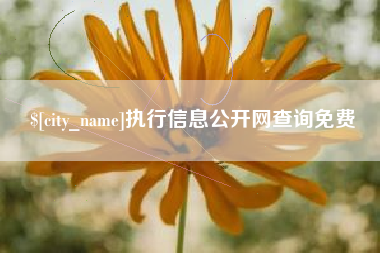 安康执行信息公开网查询免费