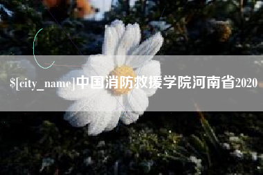安康中国消防救援学院河南省2020