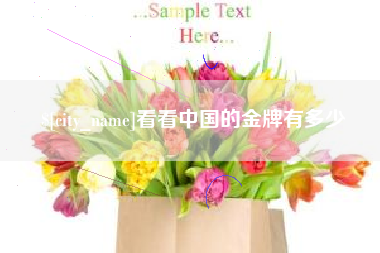 安康看看中国的金牌有多少